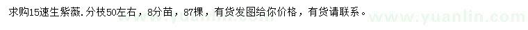 求購15公分速生紫薇