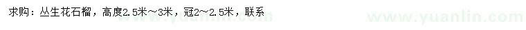 求購高2.5-3米叢生花石榴
