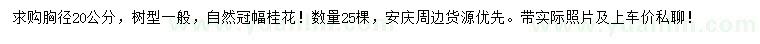 求購胸徑20公分桂花