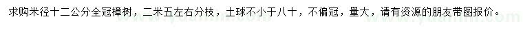 求購米徑12公分樟樹