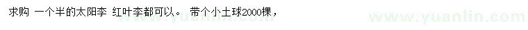 求購(gòu)1.5公分太陽(yáng)李、紅葉李