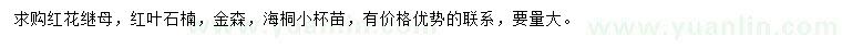 求購(gòu)紅花繼木、紅葉石楠、金森等