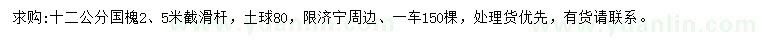 求購12公分國槐