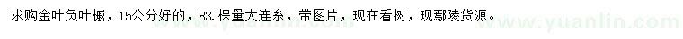 求購15公分金葉復(fù)葉槭