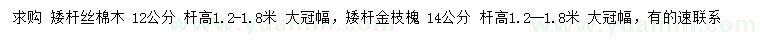 求購12公分絲棉木、14公分金枝槐