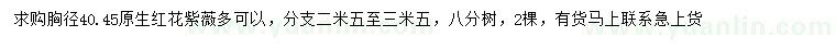求購胸徑40、45公分原生紅花紫薇