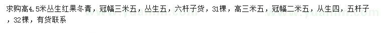 求購高4.5米叢生紅果冬青
