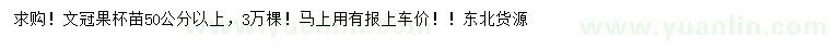 求購50公分以上文冠果