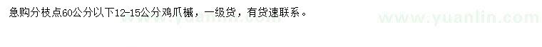 求購(gòu)12-15公分雞爪槭