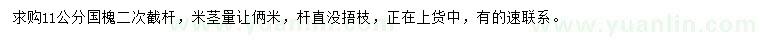 求購11公分國槐