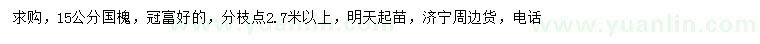 求購(gòu)15公分國(guó)槐