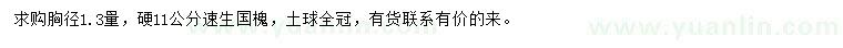 求購1.3米量11公分速生國槐