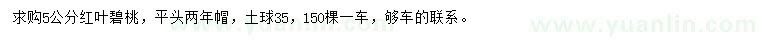 求購5公分紅葉碧桃