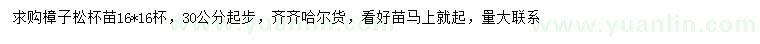 求購30公分以上樟子松
