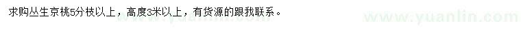 求購高3米以上叢生京桃
