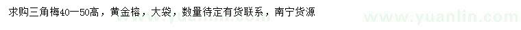 求購(gòu)高40-50公分三角梅、黃金榕