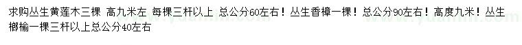 求購叢生黃連木、叢生香樟、叢生榔榆