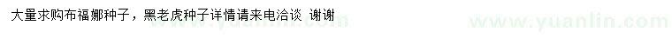 求購布福娜種子、黑老虎種子
