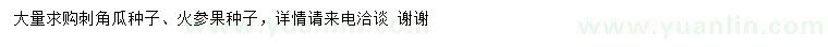 求購火參果種子、刺角瓜種子