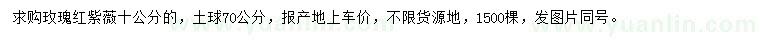求購(gòu)10公分玫瑰紅紫薇