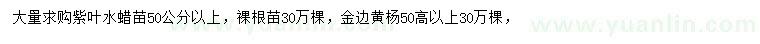 求購50公分以上紫葉水蠟苗