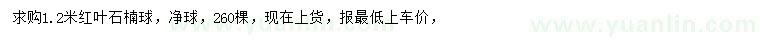 求購(gòu)1.2米紅葉石楠球