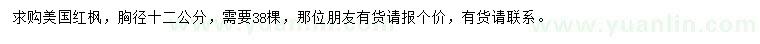 求購胸徑12公分美國紅楓