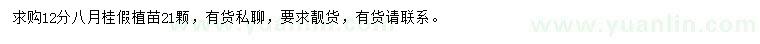 求購12公分八月桂