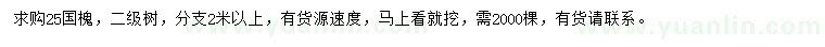 求購25公分國槐