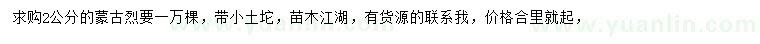 求購2公分蒙古櫟