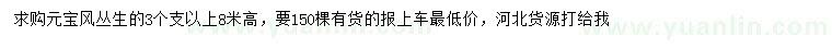 求購(gòu)高8米叢生元寶楓