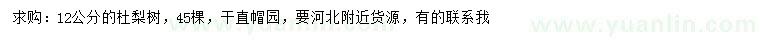 求購12公分杜梨