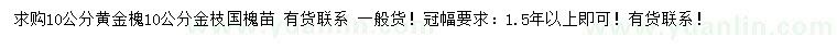 求購10公分黃金槐、金枝國槐