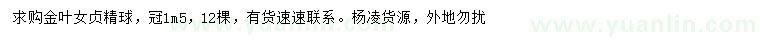 求購冠幅1.5米金葉女貞球