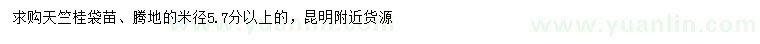 求購(gòu)米徑5.7公分以上天竺桂