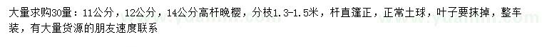 求購30量11、12、14公分高桿晚櫻