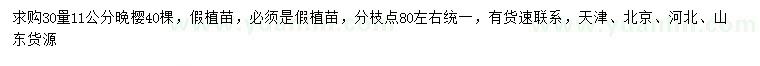 求購30量11公分晚櫻