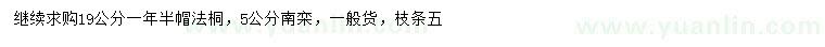 求購19公分法桐、5公分南欒