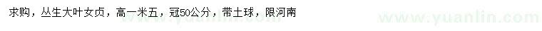 求購高1.5米叢生大葉女貞