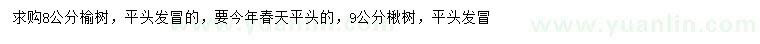 求購8公分榆樹、9公分楸樹