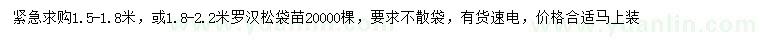求購1.5-1.8米、1.8-2.2米羅漢松