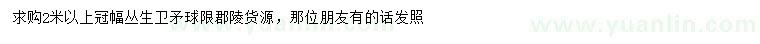 求購冠幅2米以上叢生衛(wèi)矛球