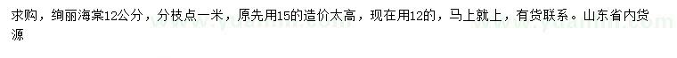 求購(gòu)12公分絢麗海棠