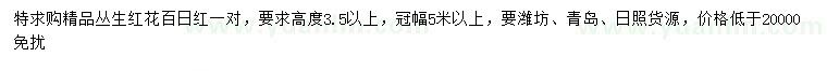 求購(gòu)高3.5米以上叢生紅花百日紅