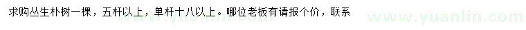 求購單桿18公分以上叢生樸樹