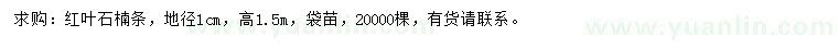 求購地徑1公分紅葉石楠