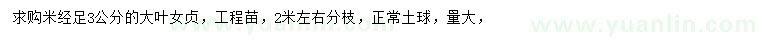 求購(gòu)米徑3公分大葉女貞