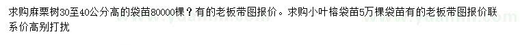 求購高30-40公分麻栗樹、小葉榕