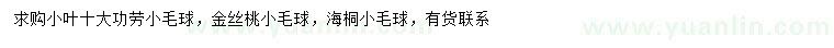 求購小葉十大功勞球、金絲桃球、海桐球