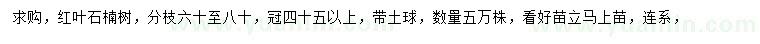 求購冠45公分以上紅葉石楠
